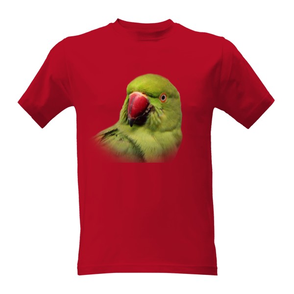 Tričko s potiskem Alexandr malý