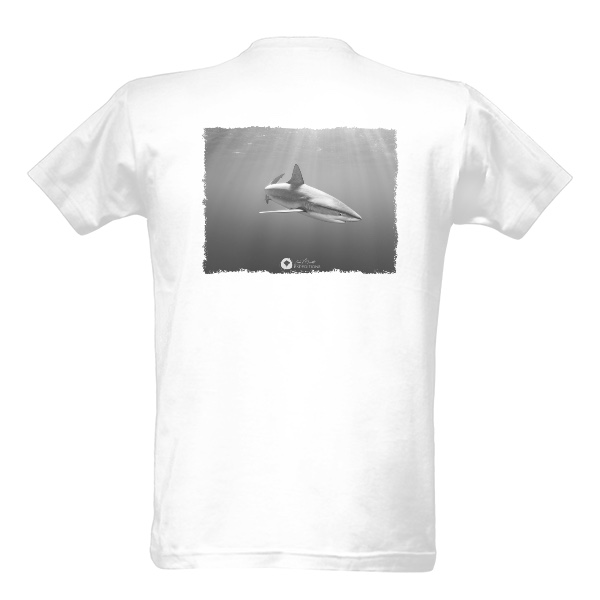 Tričko s potiskem Připlouvám záda